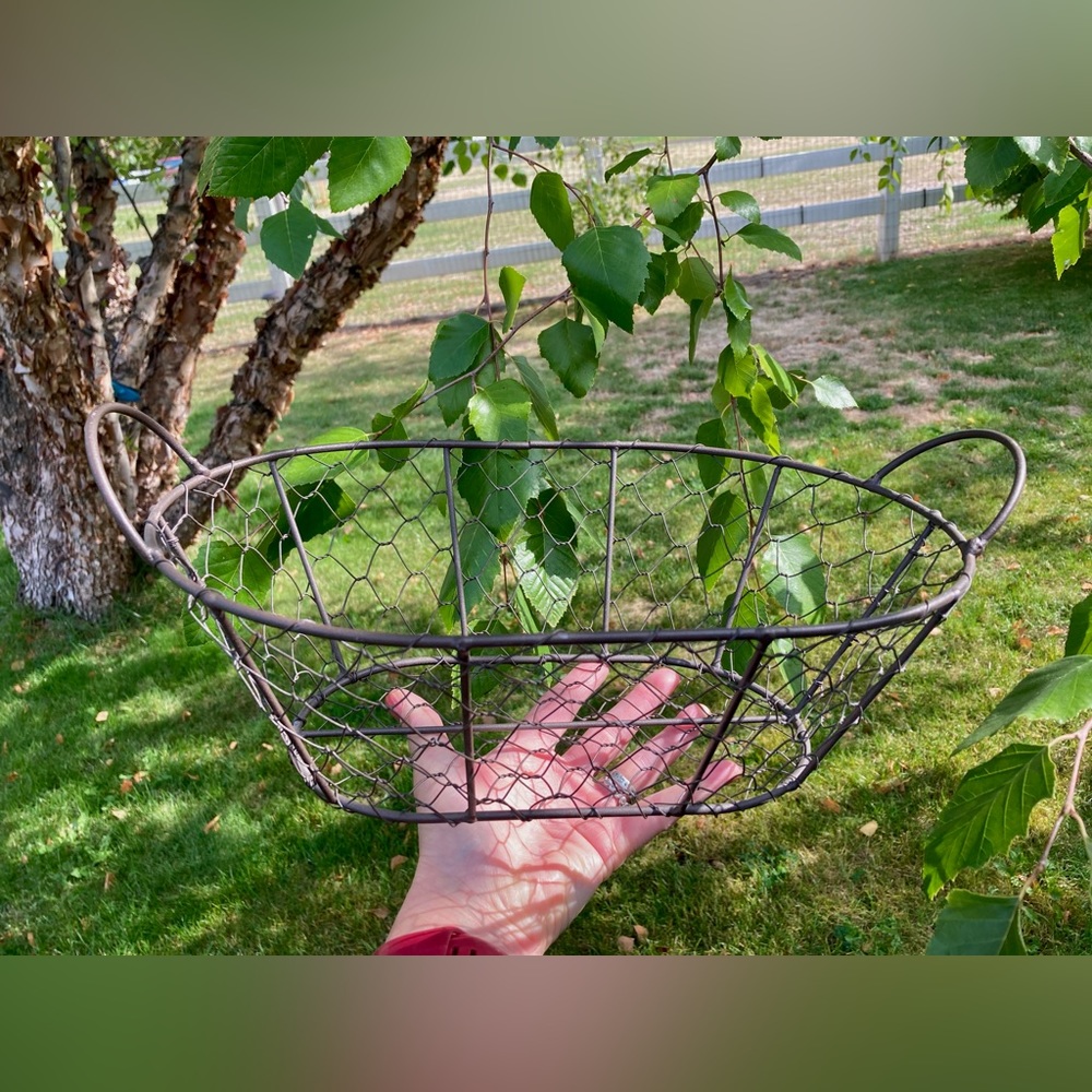 🌻Rustic Metal Basket - Picture 4 of 6